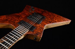 Handmade Guitar Aura Explorer TS