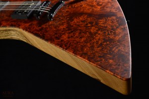 Handmade Guitar Aura Explorer TS