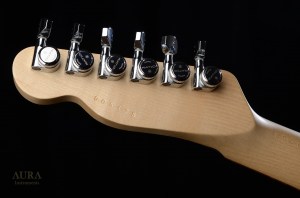 6 Strings Handmade Aura Tele Sustainiac Guitar
